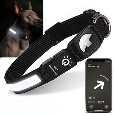 Nighttime Dog Collar + FREE AirTag Holder