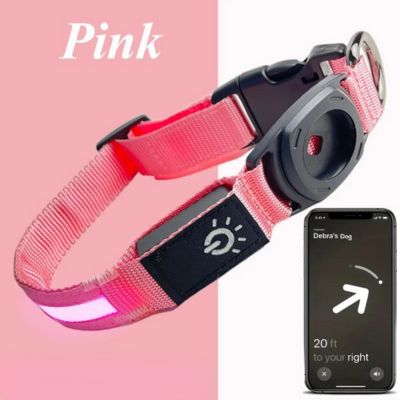 Nighttime Dog Collar + FREE AirTag Holder