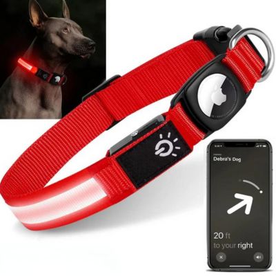 Nighttime Dog Collar + FREE AirTag Holder