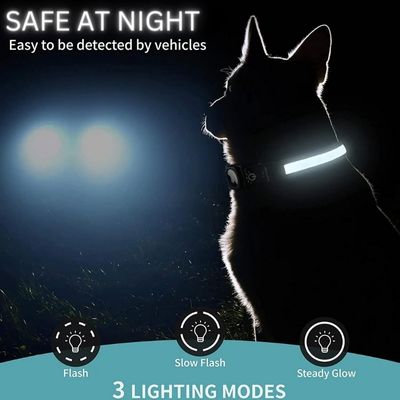 Nighttime Dog Collar + FREE AirTag Holder